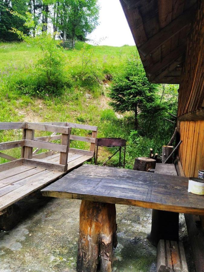 Petrikholm Villa Tatariv Ngoại thất bức ảnh
