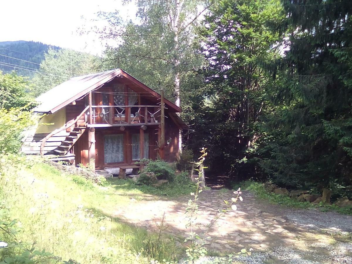 Petrikholm Villa Tatariv Ngoại thất bức ảnh